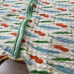 ハンスパンプキン ハンスオブパンプキン スリーパーの画像