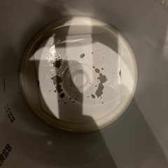 お渡し予定有　象印　話題のスチーム式加湿器　EE-RP50  201年製　取扱説明書有の画像