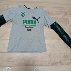 服/ファッション Tシャツ ジュニア160センチプ-マ