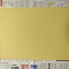 石膏ボード 厚さ12.5mm 約22cm×30cm　端材　吉野石...