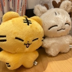 一緒にオタ活できるお友達を作りたいです！(KーPOP、バンド、アニメ)