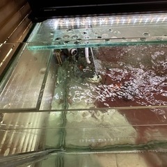 ガラス水槽　引取り限定　1200×600×600 