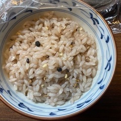 味噌カツ　食品サンプル　レアの画像