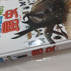 昆虫図鑑　小学館の図鑑NEO の画像