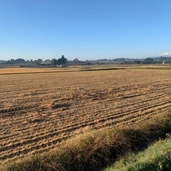 田圃を辞めたので畑としてレンタルします