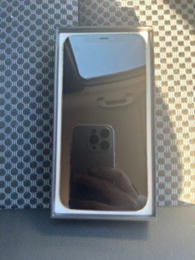 iPhone iPhone12pro 256GB