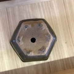 鉢　六角形の画像