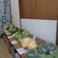 【告知・出店者募集】『ウラガdeマルシェ』＆フリーマーケット　2...