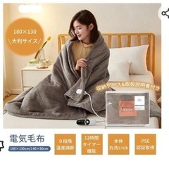 電気毛布の画像