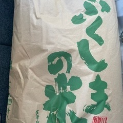 コシヒカリ　玄米