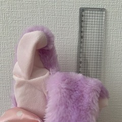 メルシーラパン　　の画像