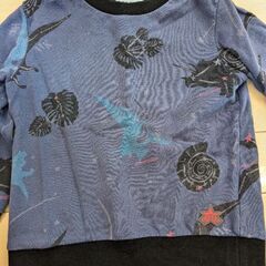 ハッカキッズ　サイズ100の画像