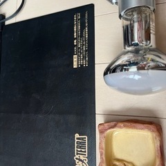 爬虫類　ケージ　ライト　ヒーターなどの飼育セットの画像