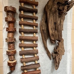 爬虫類　ケージ　ライト　ヒーターなどの飼育セットの画像