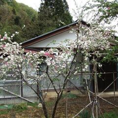 長野のお宅お譲りします「自然に包まれゆとりある暮らしを送りたい方へ」 - 長野市