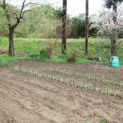 長野のお宅お譲りします「自然に包まれゆとりある暮らしを送りたい方へ」 − 長野県