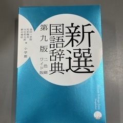 新選国語辞典