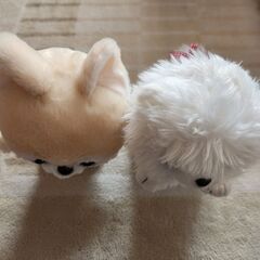 ポメラニアンのみ　犬　動くぬいぐるみ　豆柴→完売の画像