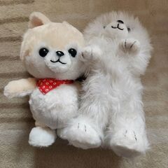 ポメラニアンのみ　犬　動くぬいぐるみ　豆柴→完売
