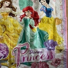 レジャーシート　プリンセス　ディズニー　遠足　一人用の画像