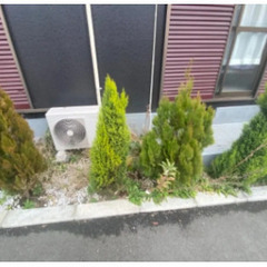 【30分／1袋1000円！】草むしり（45Lのゴミ袋使用）@秦野...