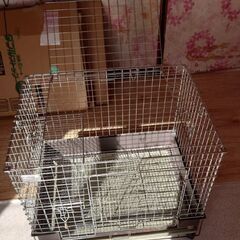 カワイ　コンフォート６０の画像