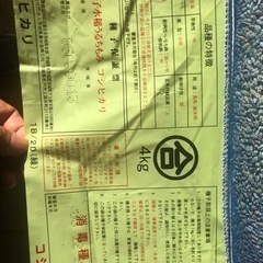 コシヒカリ　種子　消毒種子　種もみの画像