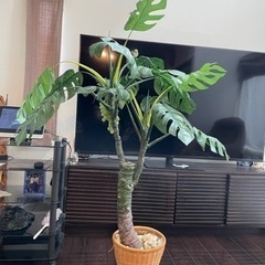 観葉植物！造花！受け渡し決まりました。