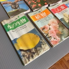 古本：ポケット図鑑　7冊の画像