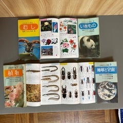 古本：ポケット図鑑　7冊の画像