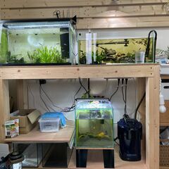 水槽　棚セット　引き取り限定　40000～50000