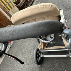 【急募】バガブー カメレオン3の画像