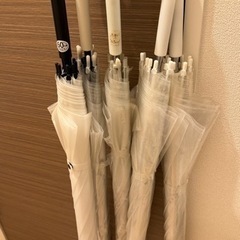 無料　ビニール傘　セット