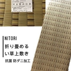 三畳　い草上敷き　ラグ　防菌防ダニ加工