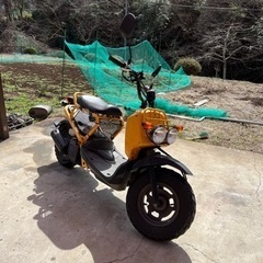 Honda zoomer af58 キャブ車　良好