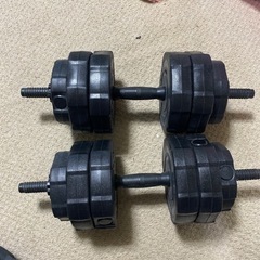 BODYTECHダンベル30kg