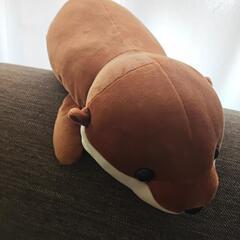 四国水族館 マスコット？の画像