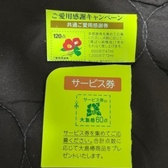 椿オイル　ポイント