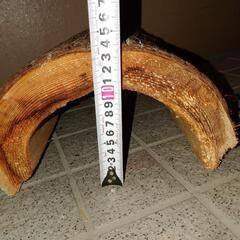 天然木　スギ　爬虫類シェルター　1の画像