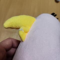 オピラ・バード

の画像