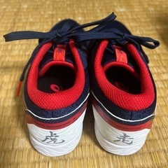 未使用asics 虎走　20cmの画像
