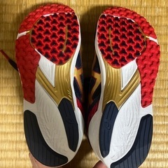 未使用asics 虎走　20cmの画像