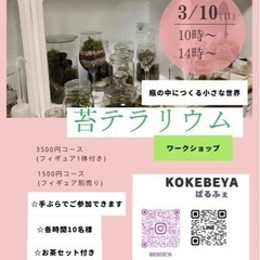 苔テラリウム　1日体験教室