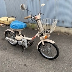 キャロット