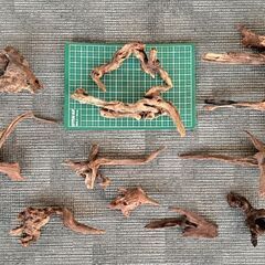 流木 水槽 アクアリウムの画像