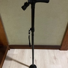 杖