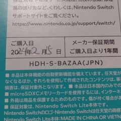 Nintendo Switch  Lite