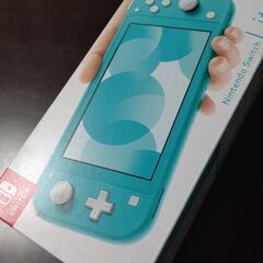 Nintendo Switch  Lite