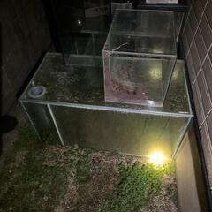 オールガラス　オーバーフロー水槽の画像