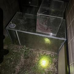 オールガラス　オーバーフロー水槽の画像